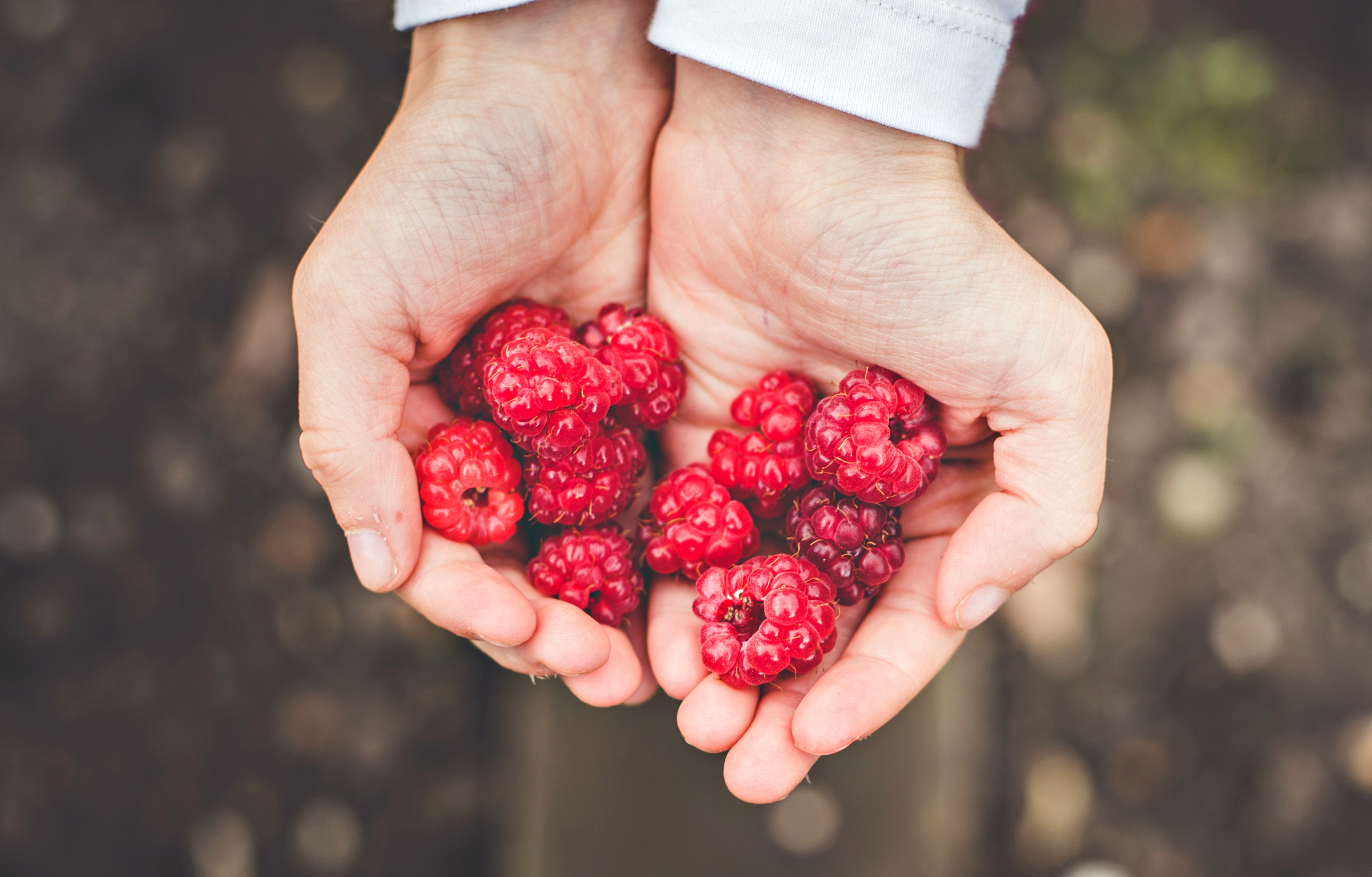 berries-1868310a